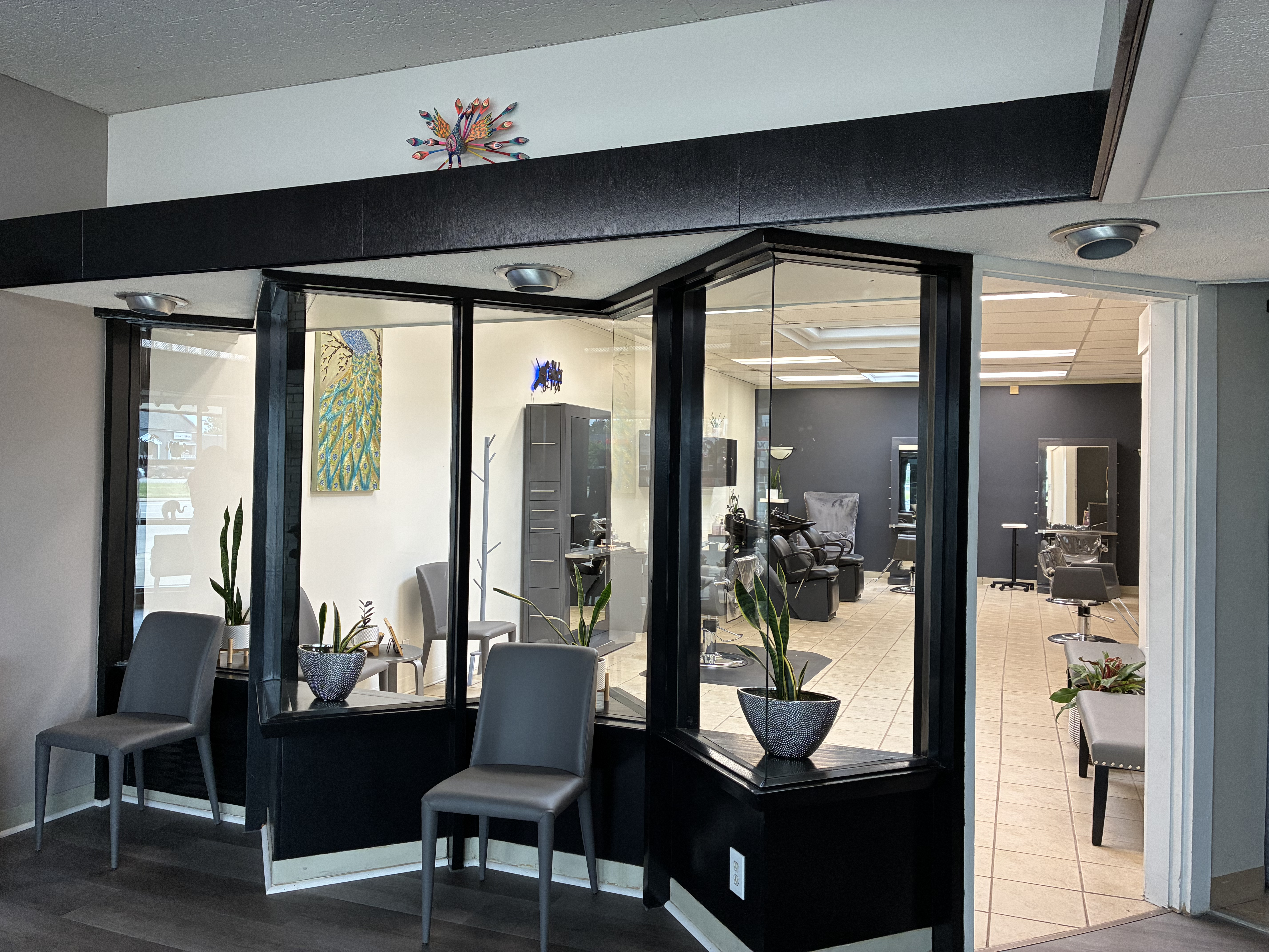 Salón de Brielle 2